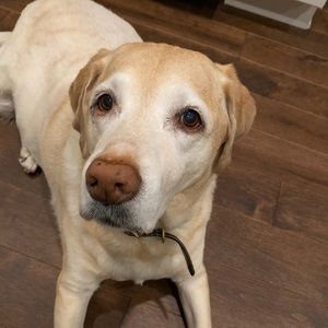 Meet your Posher, Mimi